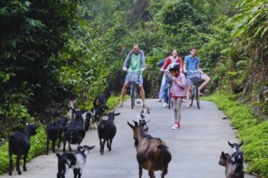 Lan Ha bay - Viet Hai village - Cat Ba Island (B, L, D)